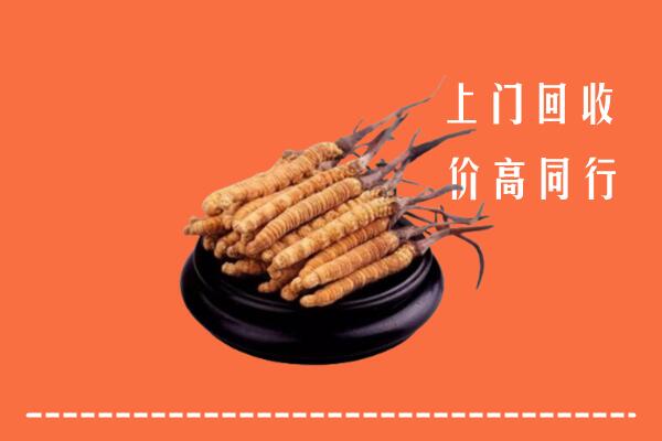 延川县回收冬虫夏草